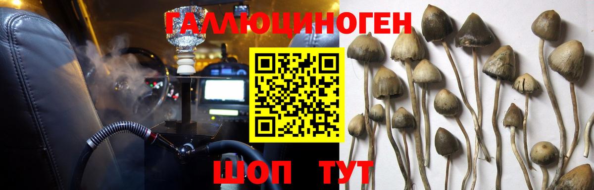 Псилоцибиновые грибы мухоморы  Галлюциногенные грибы Cubensis  Вязники  Вход с VPN 